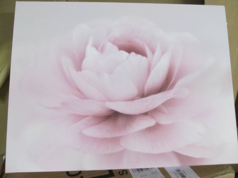 lot 193 image: Stylisch Rose Pink Photographic C...