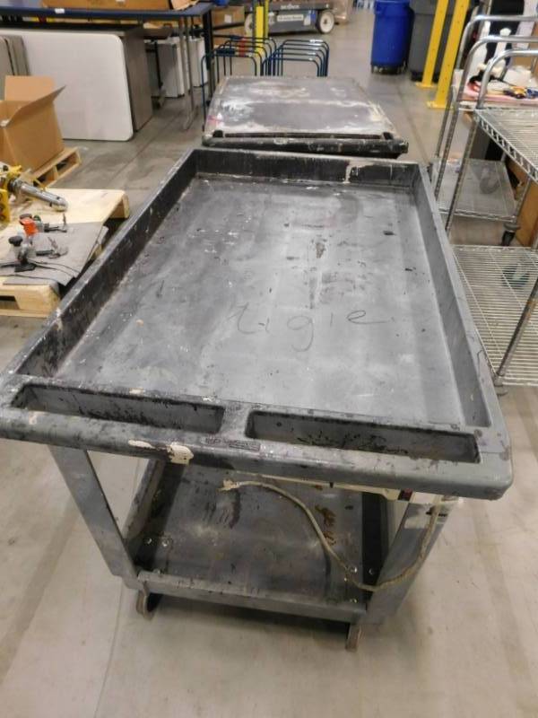 lot 113 image: Two Rubbermaid Utility Carts