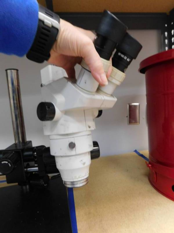 lot 181 image: Microscope with Aven LED-60T Light
