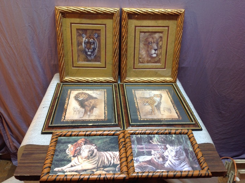 Wildlife Framed Art