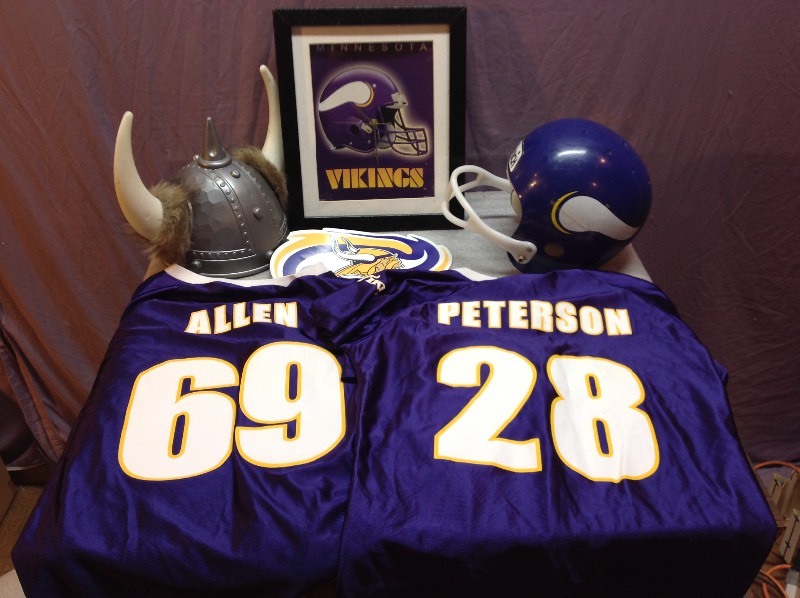 MN Vikings Lot