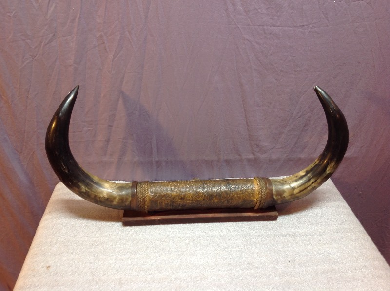 Horns