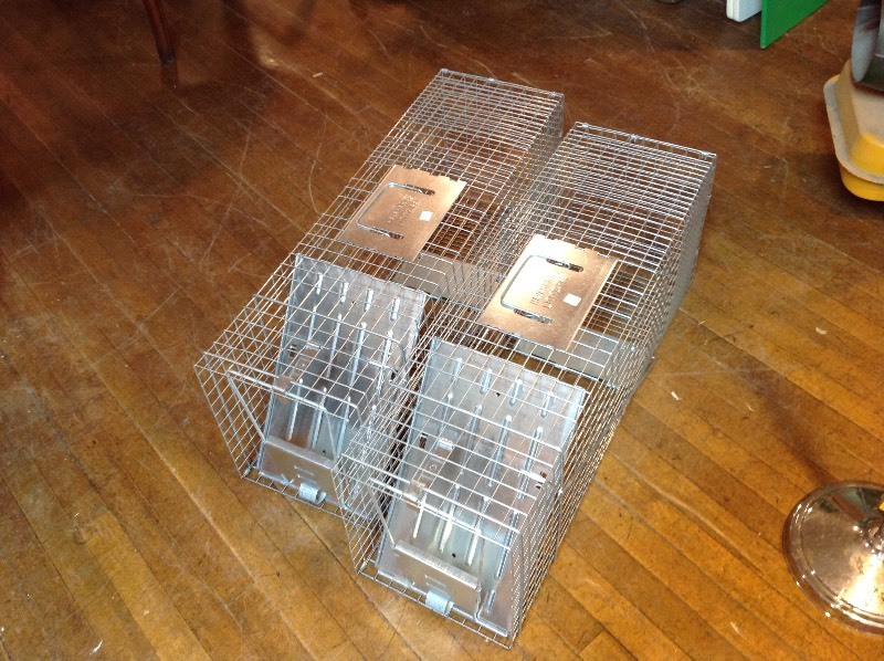 Live Traps