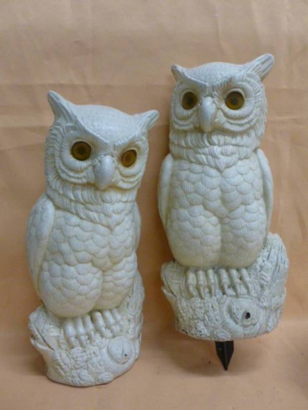 Owl Decoy