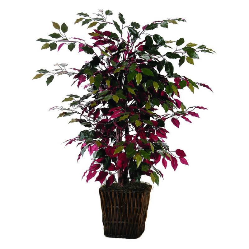 lot 255 image: Pair of Vickerman 4 Foot  Artificial Capensia Bush in Square Willow Wicker Basket