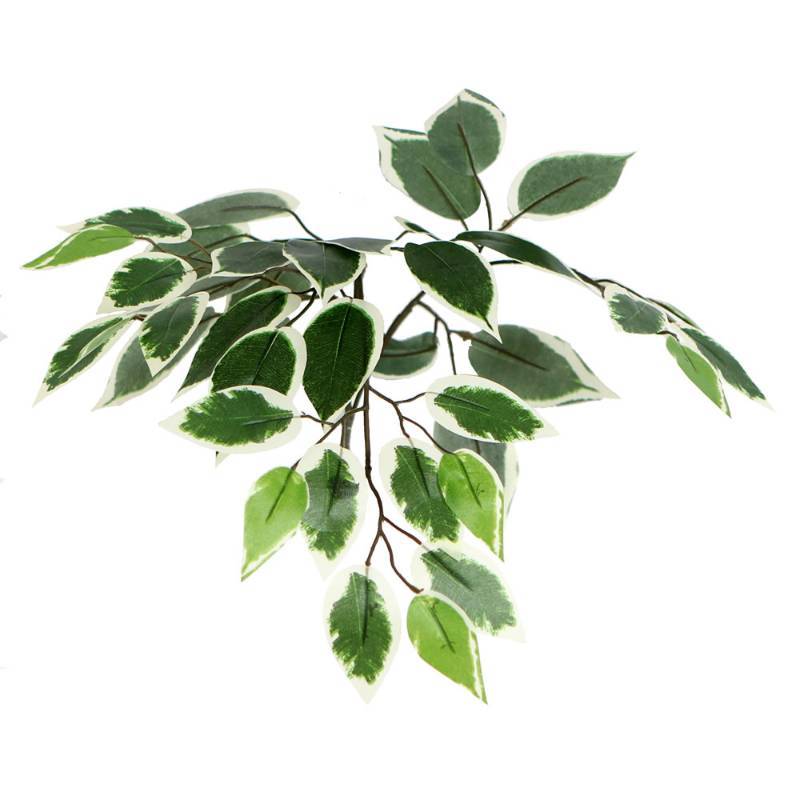 lot 290 image: Trio of Vickerman 4 and 6 Artificial Variegated Ficus Tree in Black Pots