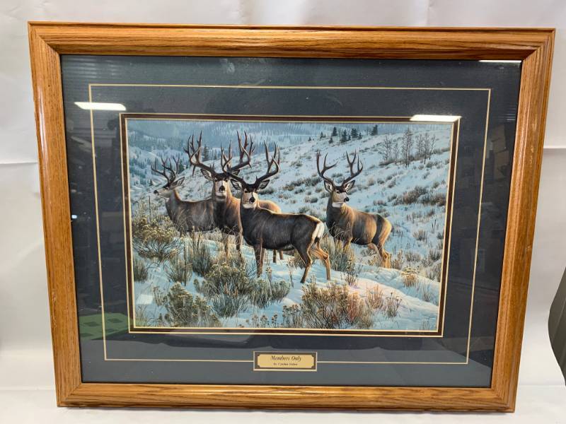 lot 2 image: Cynthia Fisher Members Only Artwork