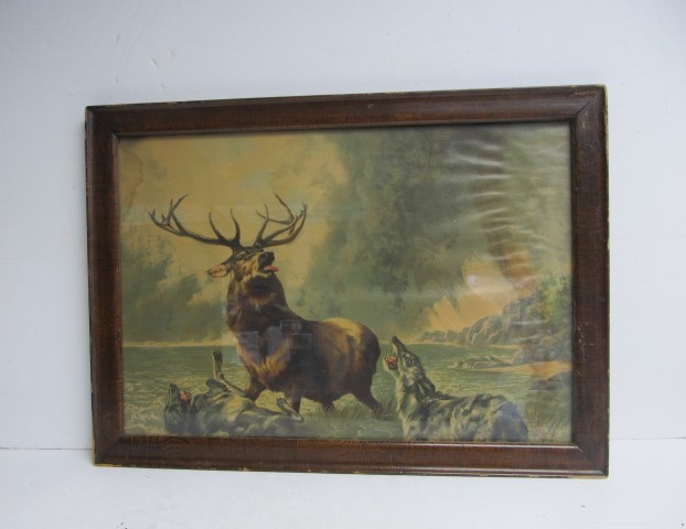 lot 30 image: Antique Framed Litho - Wolves Attacking Elk