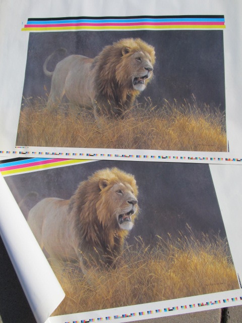 lot 215 image: Pair of ROBERT BATEMAN Lion PRODUCTION PROOF Prints