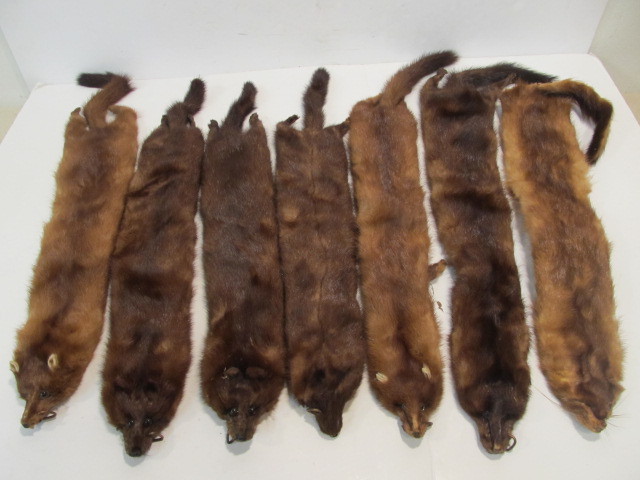 lot 175 image: Lot of 7 Vintage Mink Pelts