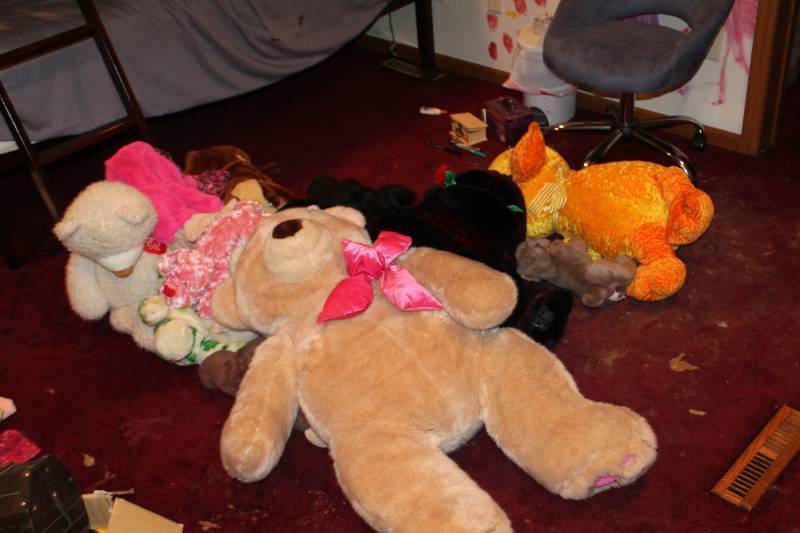 lot 499 image: Stuffed Animals - Bears, Ducks