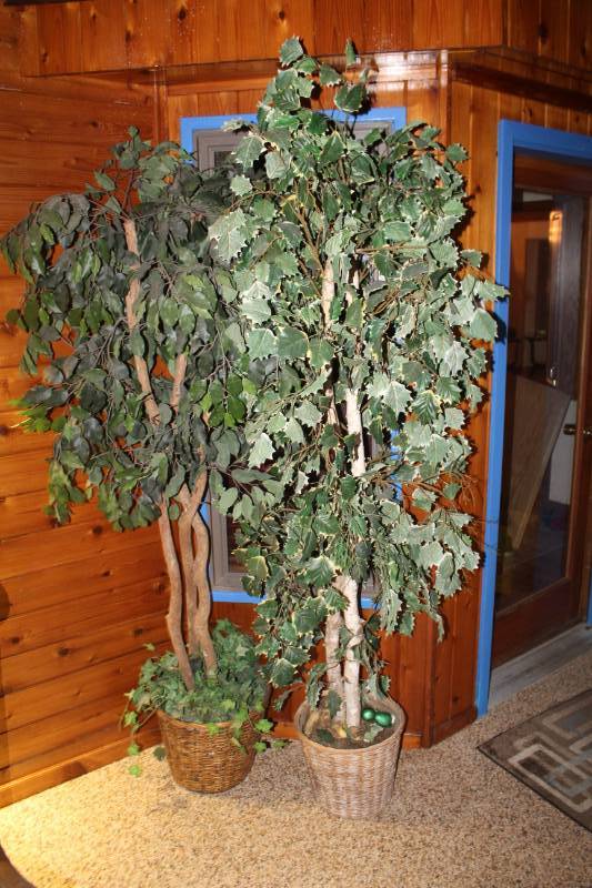 lot 402 image: Lot of (2) Fake Plants