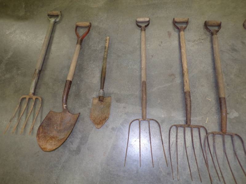 lot 37 image: 6 Vintage Tools Forks and Shovel