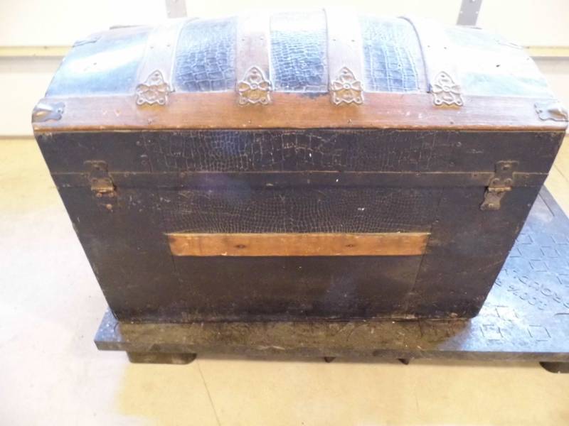 Camelback Trunk