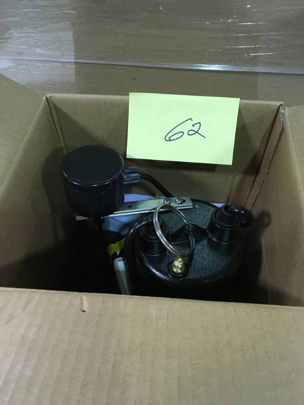 Everbilt 1 HP Professional Sump Pump