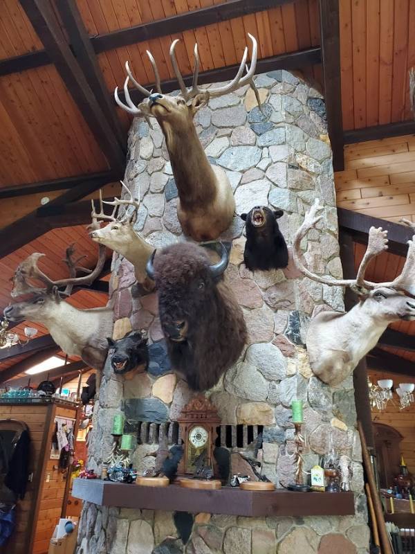 lot 259 image: Elk head mount