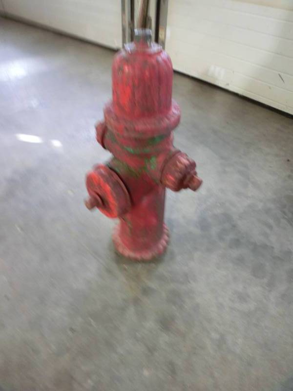 lot 320 image: Fire hydrant decoration