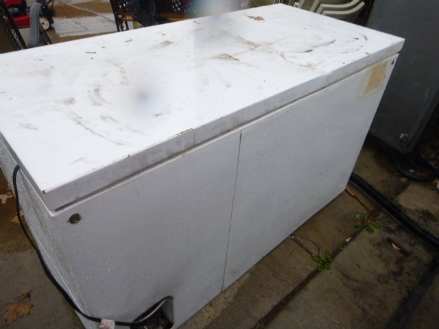 lot 82 image: Sears Coldspot Chest Freezer