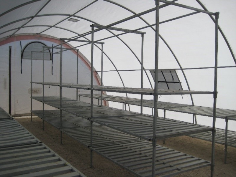 Commercial 20 x 30 Greenhouse Shelter