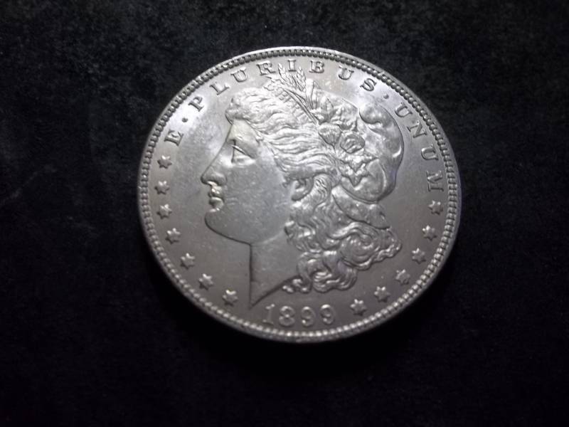 1899 Morgan Silver Dollar