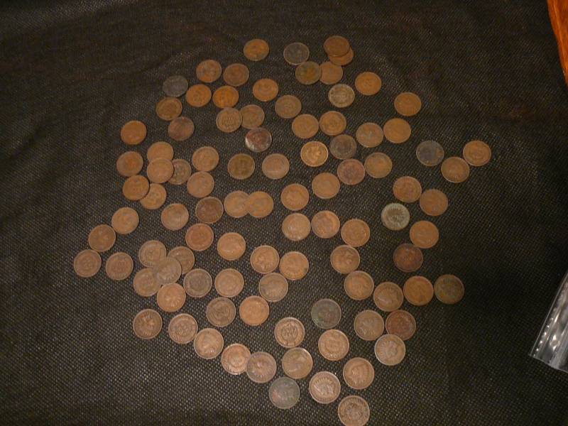 lot 94 image: 95 Indian Head Pennies