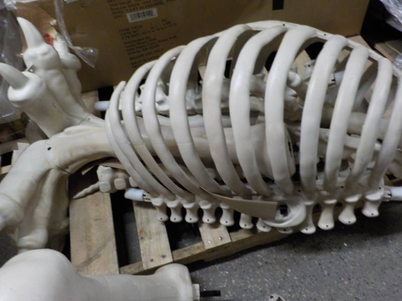 lot 84 image: Parts of A Skeleton...