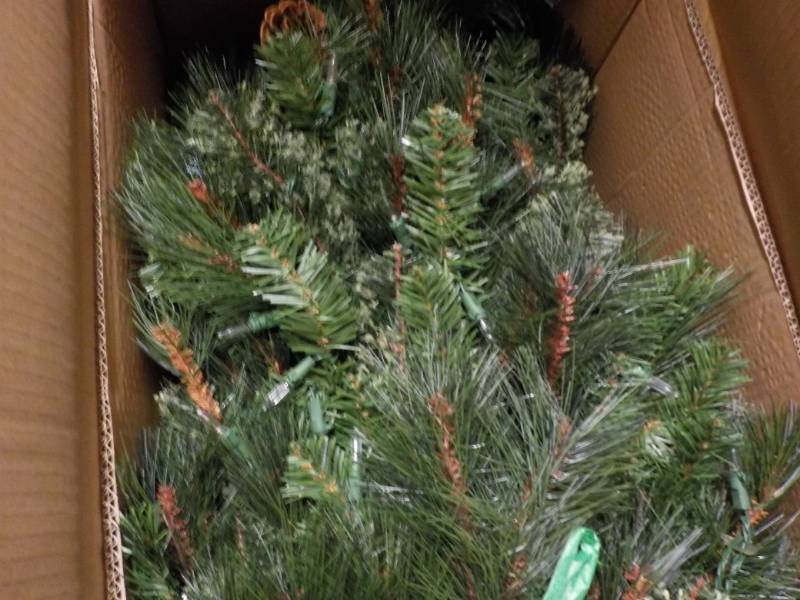 lot 85 image: 7.5 ft Alexander Pine with Warm Whi...