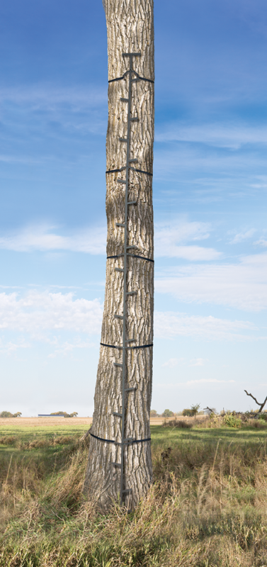 lot 4 image: Big Game Quick-Stick XL Climbing Stick System