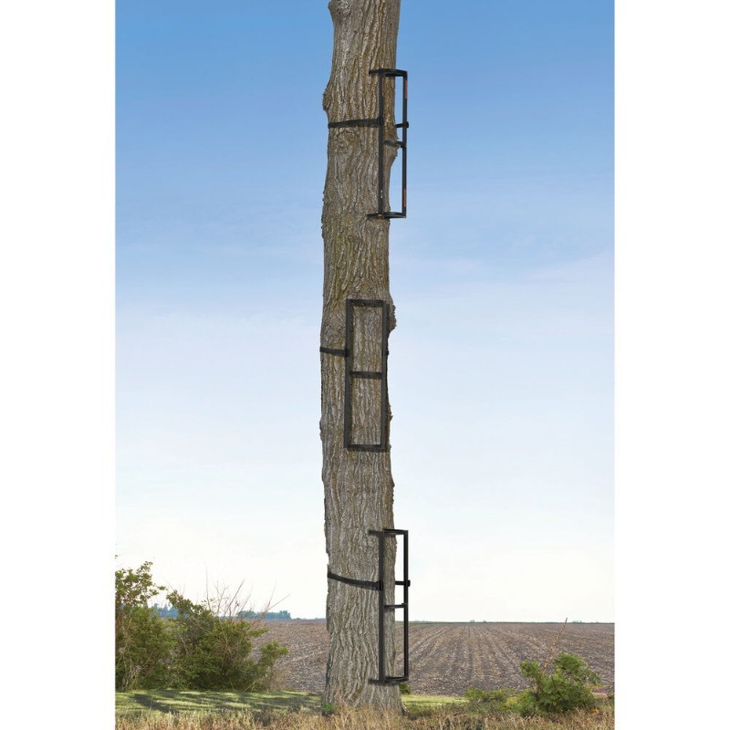 lot 29 image: Big Game Stagger-Steps Tree Stand Climbing Stick Set