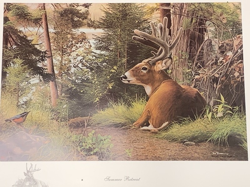 lot 11 image: Bob Travers Signed & Numbered Print
