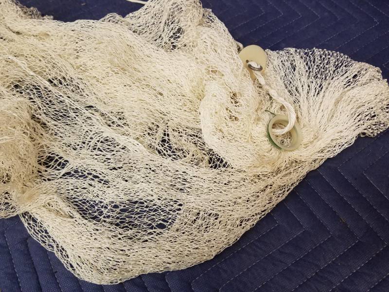 lot 29 image: Fish Net