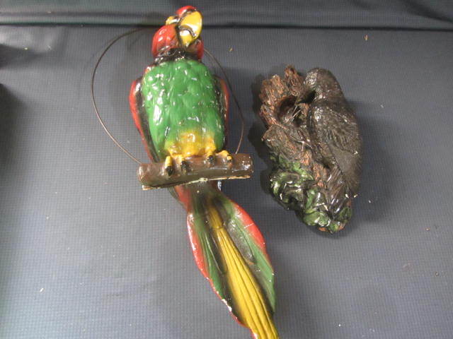 Parrot & Woodpecker