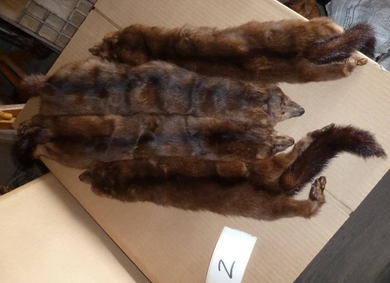 lot 2 image: 4 Mink furs in great condition, the...