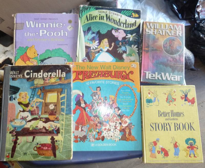 lot 51 image: Tote full of kids books...