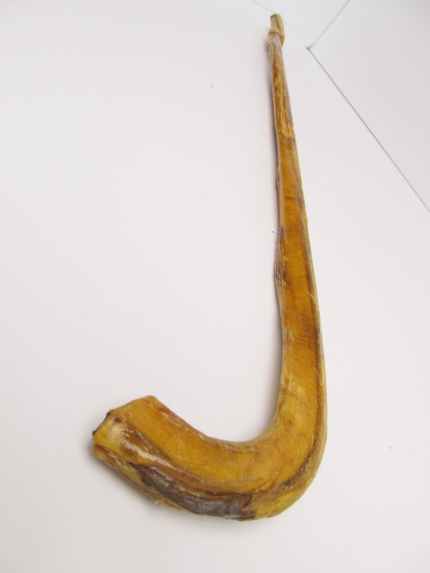 lot 18 image: Vintage Bulls Organ CaneWalking Stick