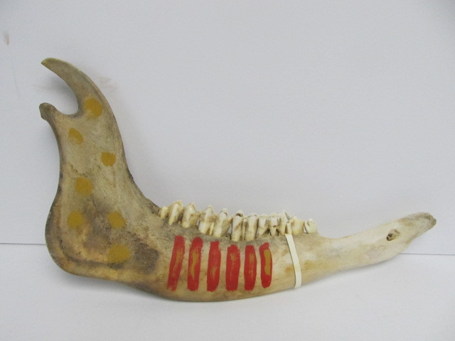lot 27 image: Vintage Hand Painted Decorated Jawbone Club