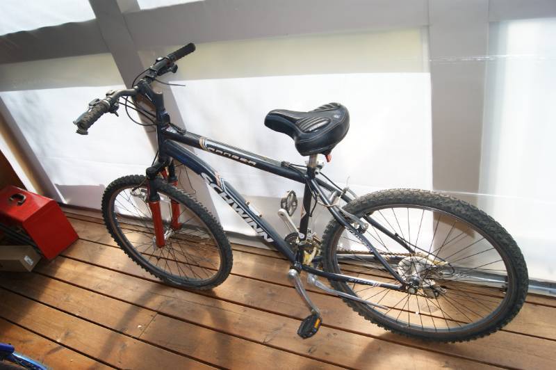 Schwinn Bike