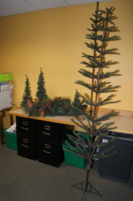 lot 244 image: Pine Trees Galore
