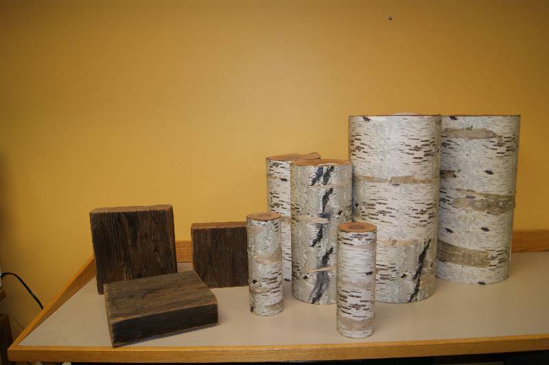 lot 245 image: Birch Stumps & Wood