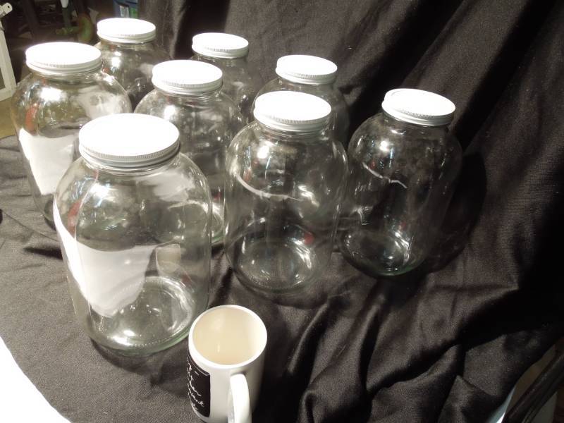 lot 49 image: 8 Large Gallon() 10 high NEW Jars with Lids