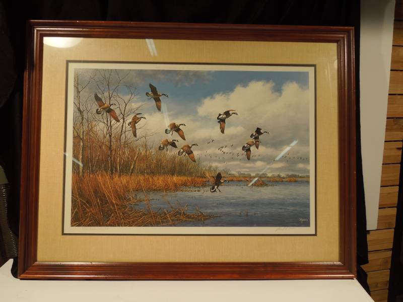 lot 151 image: Ducks Unlimited Into The Cove - Canada Geese - By David Maass - Signed and Numbered 4775 Large Print and Frame