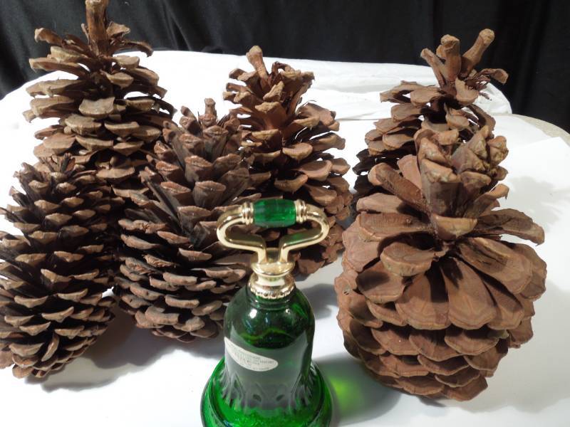 lot 172 image: Up to 8 Large Pinecones, Roses, Roses Avon Cologne Almost Full 3.75 Oz.