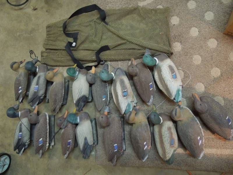 lot 180 image: 17 Duck Decoys with Bag