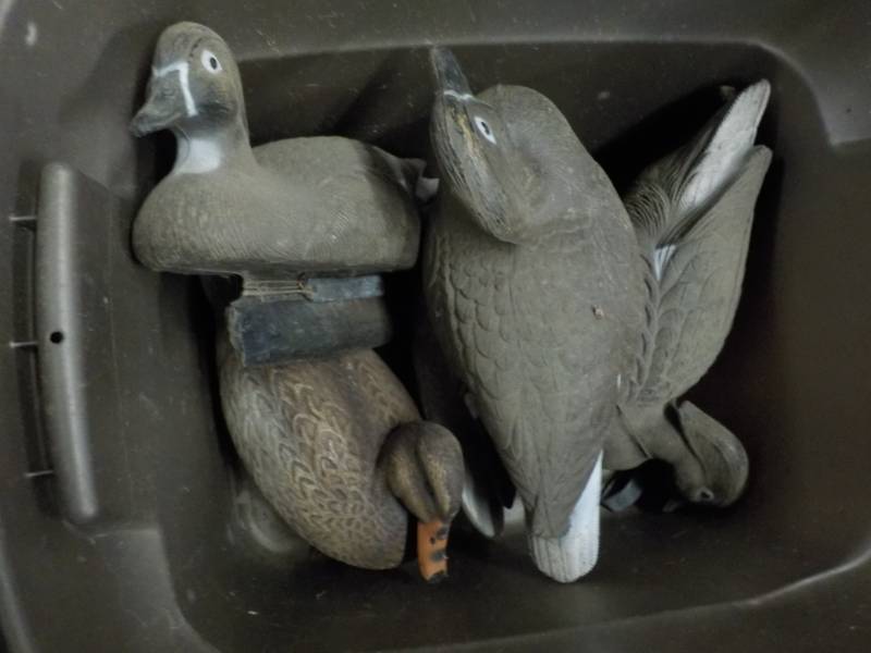 lot 25 image: 5 Duck Decoys in a Covered Tote...