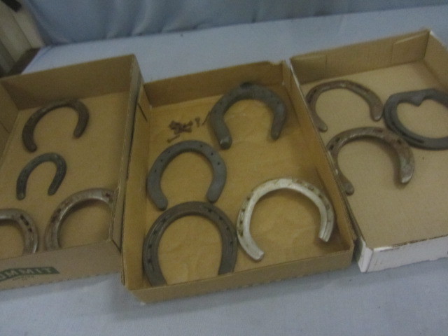 lot 58 image: Horse Shoes