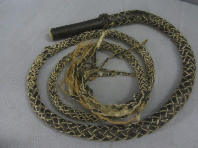 lot 113 image: Braided Bullwhip