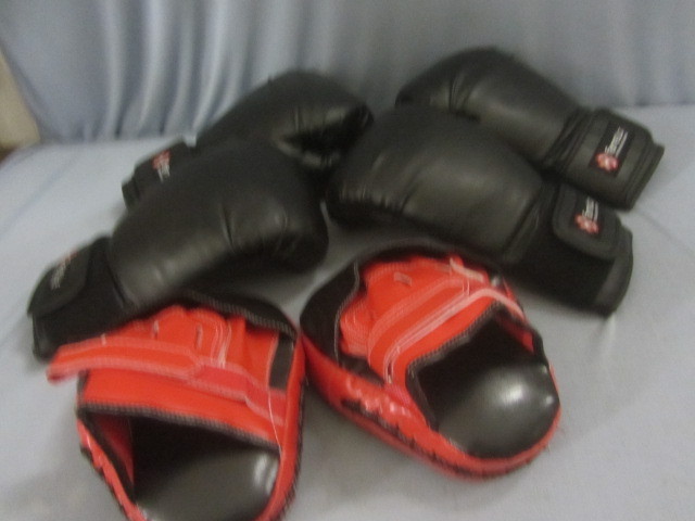 lot 154 image: Farrells Kick Boxing Gloves