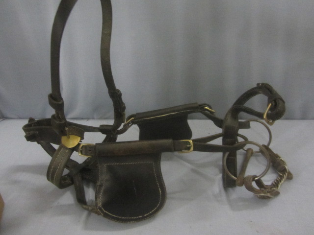 lot 73 image: Buggy Bridle with Blinders
