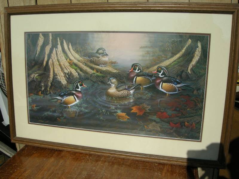 lot 111 image: Sam Timm Wood Ducks Woodies Wildlife Print