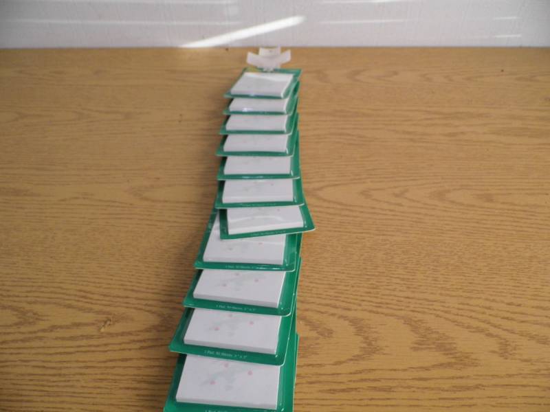 lot 70 image: 48 Packs Holiday Sticky Notes